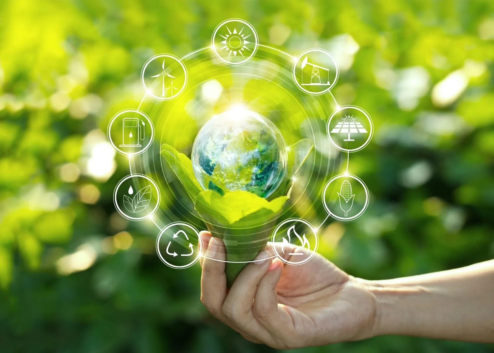 Improvement of agricultural sustainability