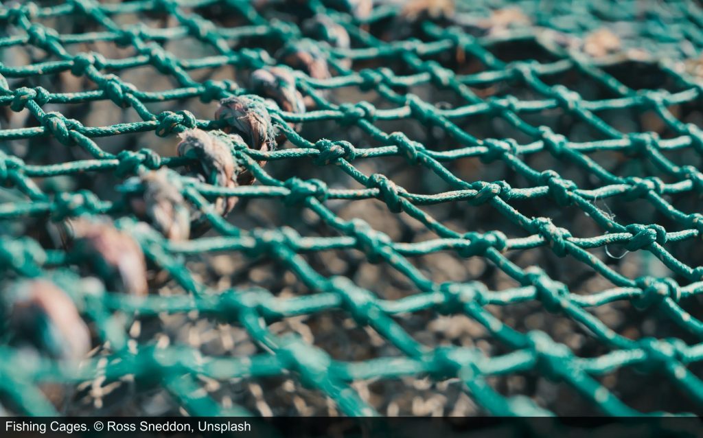 Green fishing cages
