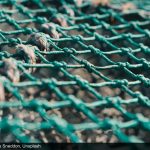 Green fishing cages