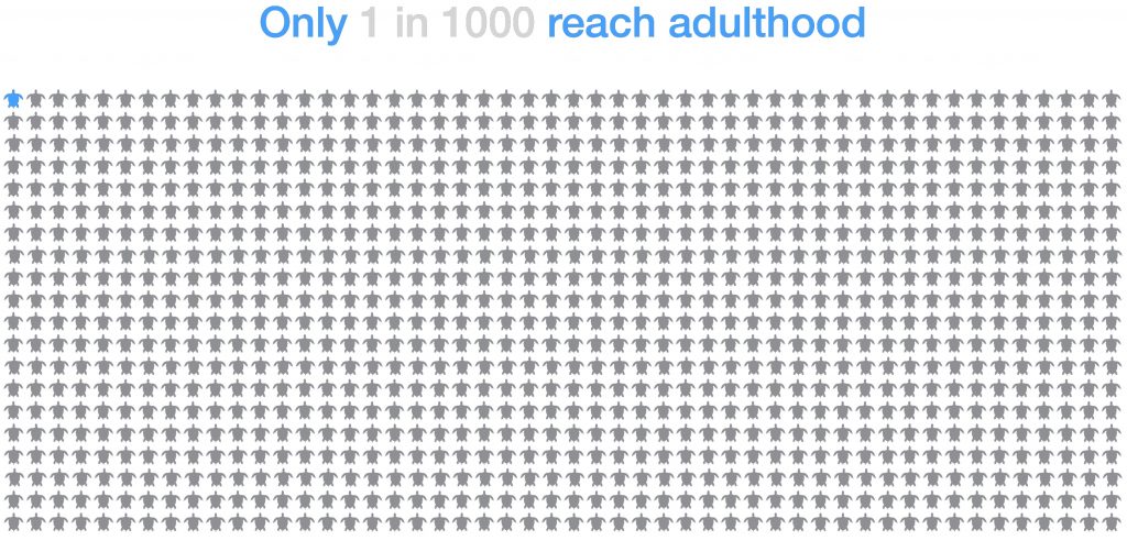 Statistics
