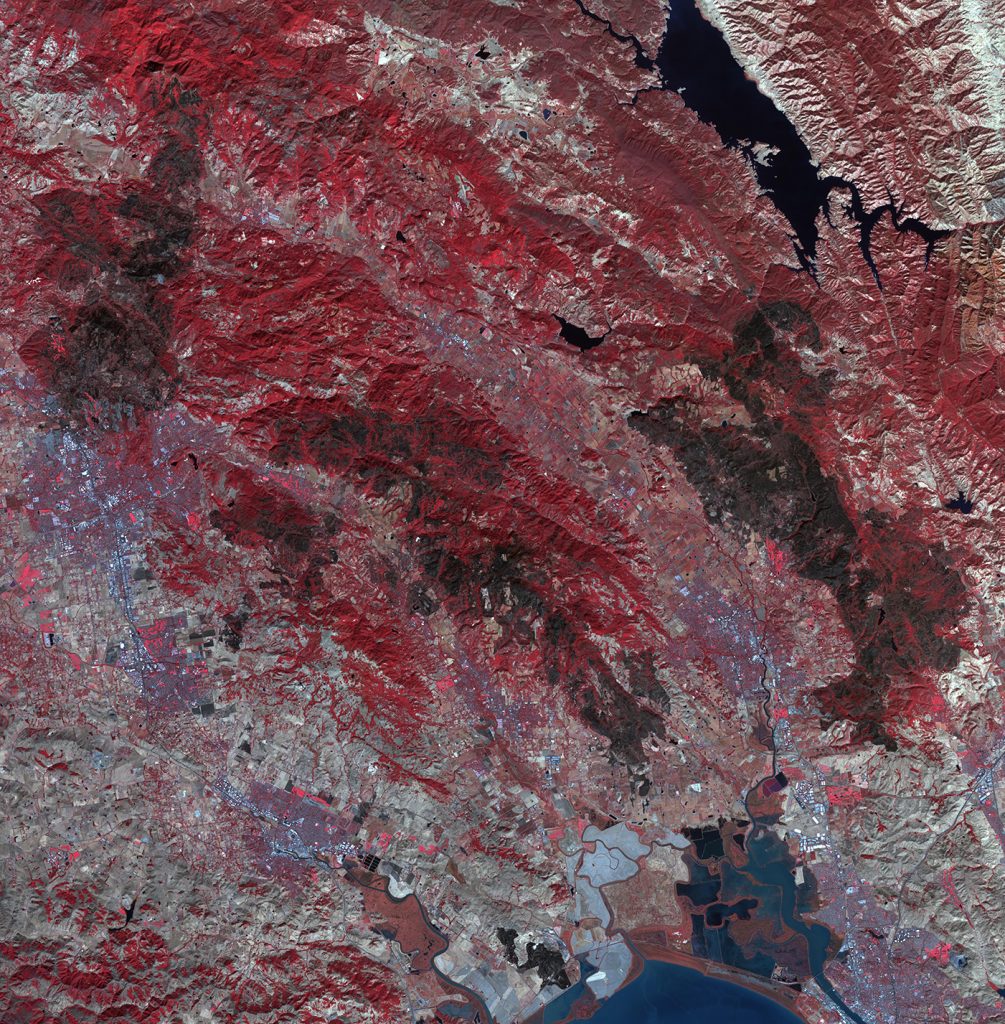 Satellite image of wildfires