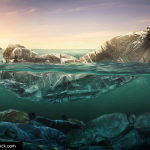 Plastic bottle in the ocean