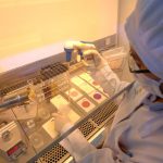 Disease outbreaks monitored